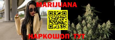 сатива Кулебаки